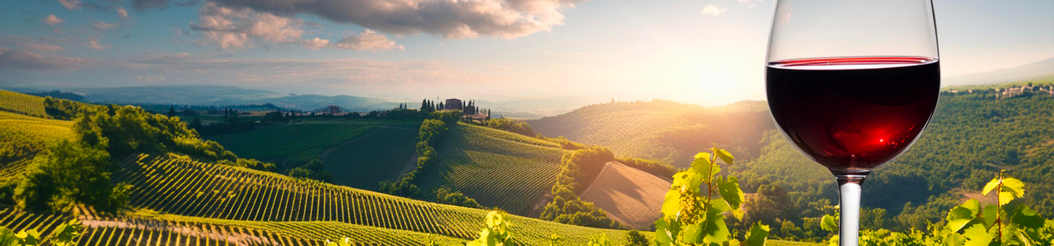 sklenice na SanGiovese
